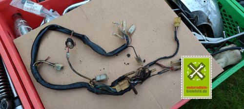 IMG_20230911_190627